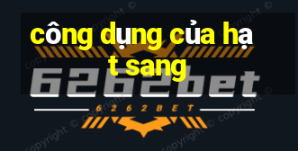 công dụng của hạt sang