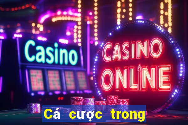 Cá cược trong cá cược bóng đá