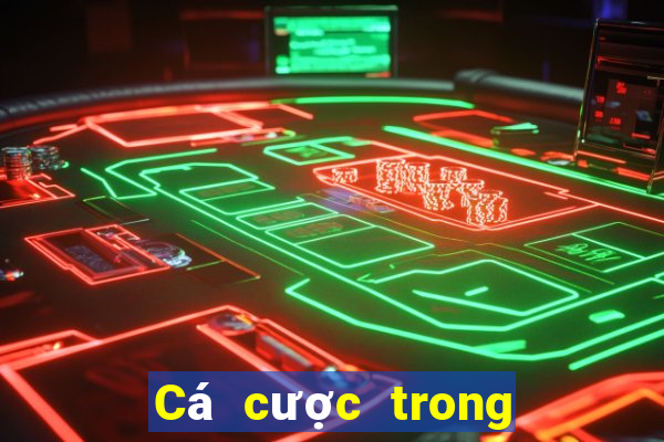 Cá cược trong cá cược bóng đá