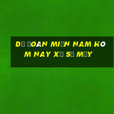 dự đoán miền nam hôm nay xổ số mấy