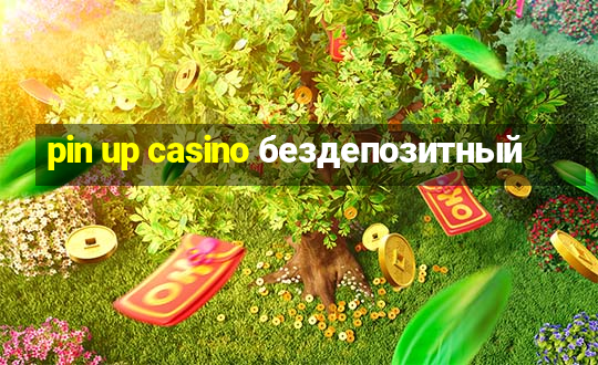 pin up casino бездепозитный