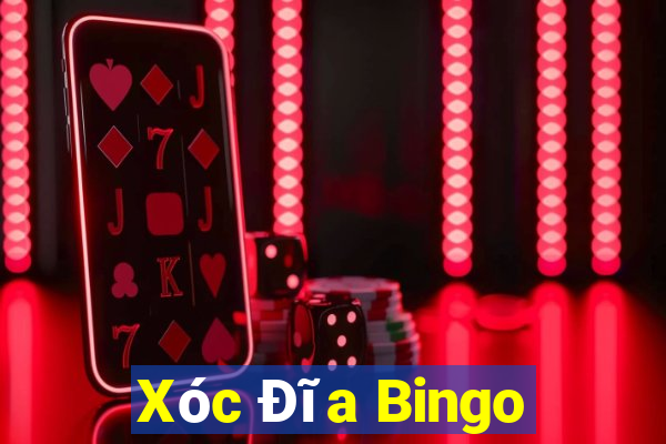 Xóc Đĩa Bingo