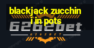 blackjack zucchini in pots