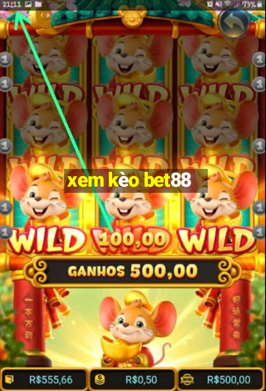 xem kèo bet88