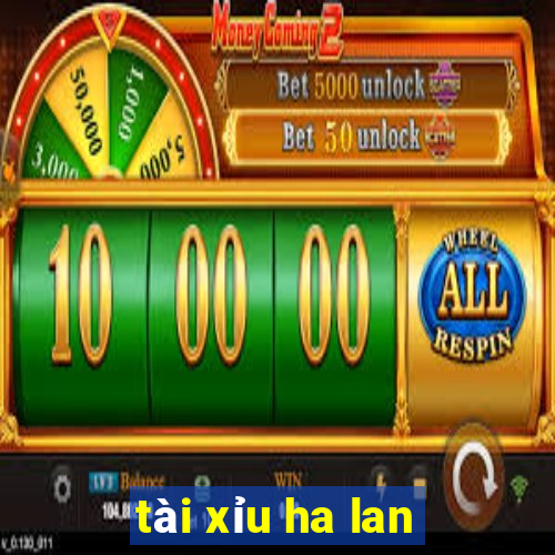 tài xỉu ha lan