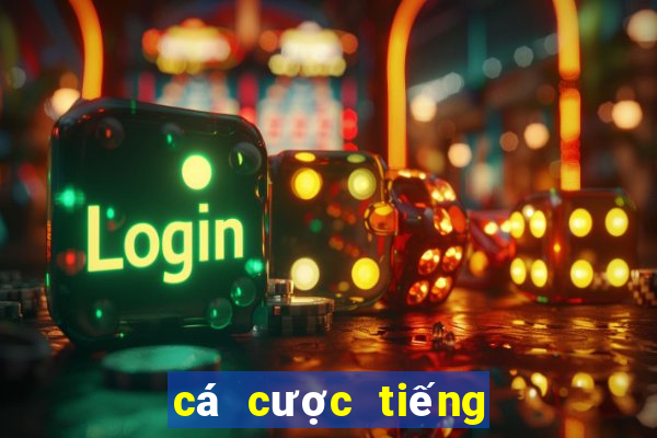 cá cược tiếng trung là gì