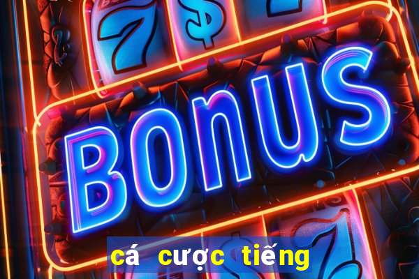 cá cược tiếng trung là gì