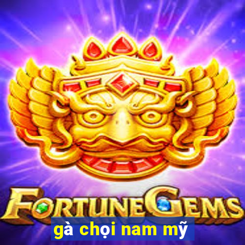 gà chọi nam mỹ