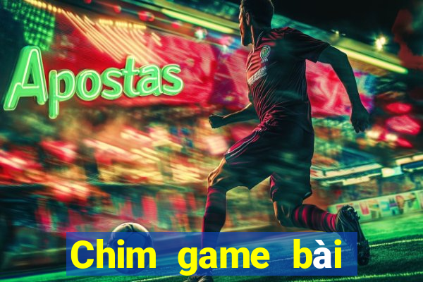 Chim game bài tôi muốn tải về