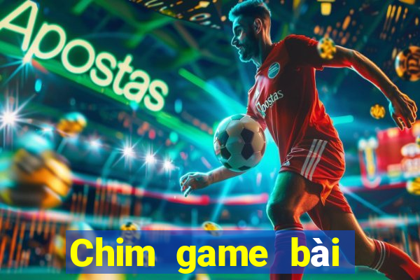 Chim game bài tôi muốn tải về