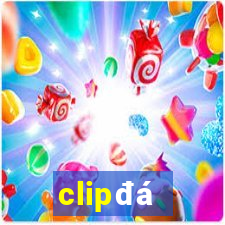 clip đá gà khét của anh cọp