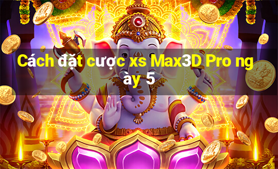 Cách đặt cược xs Max3D Pro ngày 5