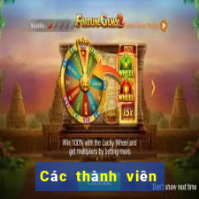 Các thành viên của ACairace