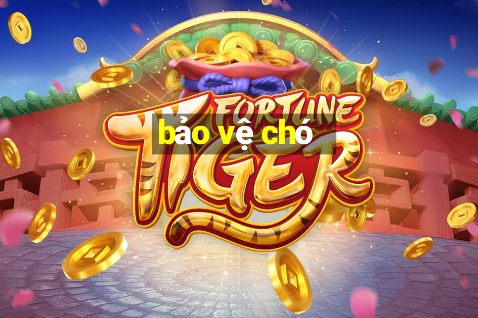 bảo vệ chó