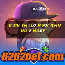 bạch thủ lô nuôi khung 2 ngày