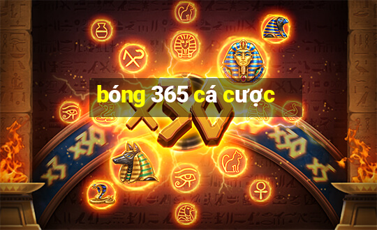 bóng 365 cá cược