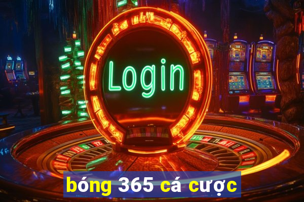 bóng 365 cá cược