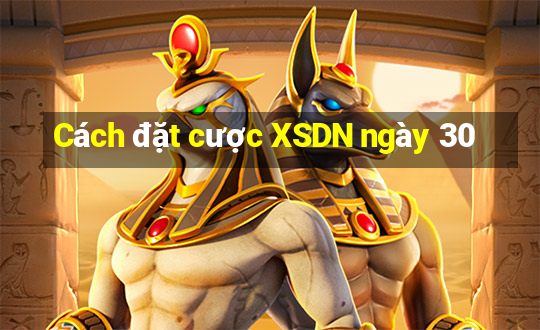 Cách đặt cược XSDN ngày 30