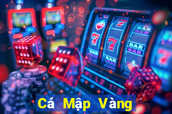 Cá Mập Vàng Cá Mập Bạc Fun88 Tải về