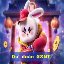 Dự đoán XSNT ngày 20