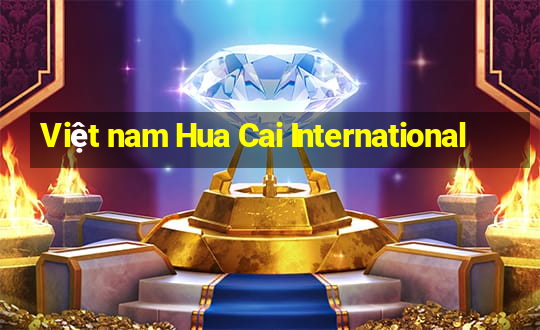 Việt nam Hua Cai International