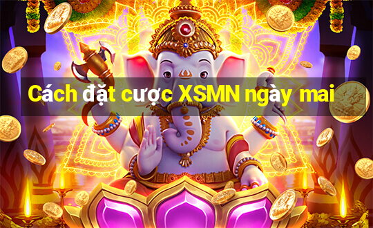 Cách đặt cược XSMN ngày mai