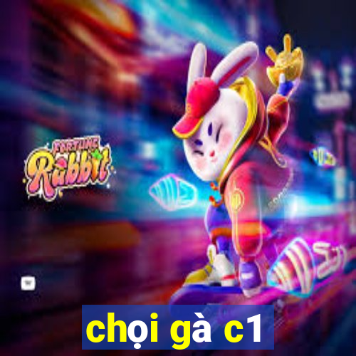 chọi gà c1