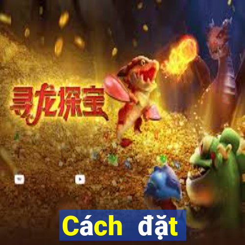 Cách đặt cược XSQN ngày 12