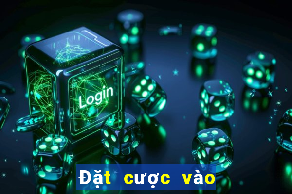 Đặt cược vào kết quả bóng đá