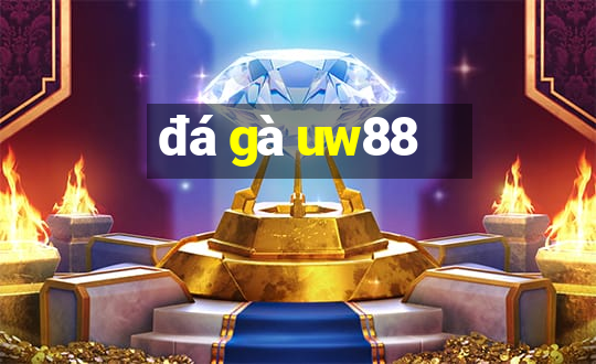 đá gà uw88