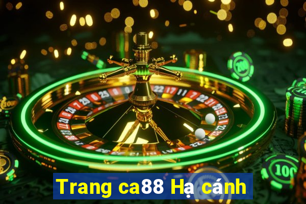 Trang ca88 Hạ cánh