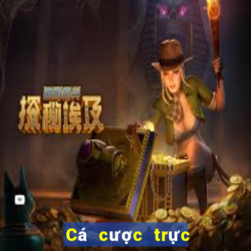 Cá cược trực tuyến bons