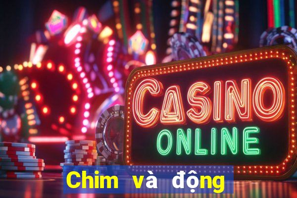 Chim và động vật iosapp