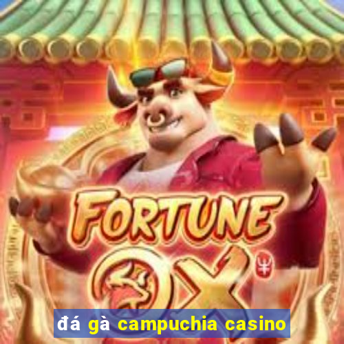 đá gà campuchia casino