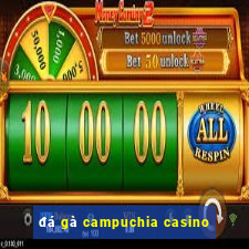 đá gà campuchia casino