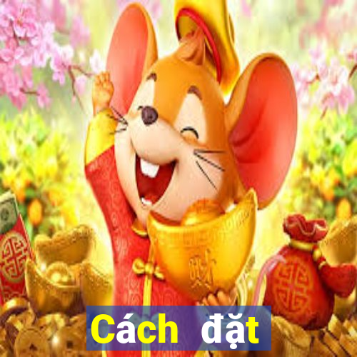 Cách đặt cược XSQT Thứ 2