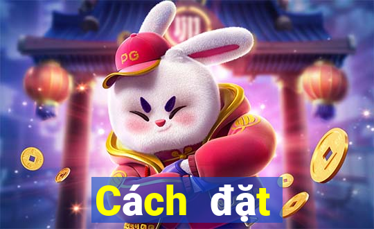 Cách đặt cược XSDNO ngày 7