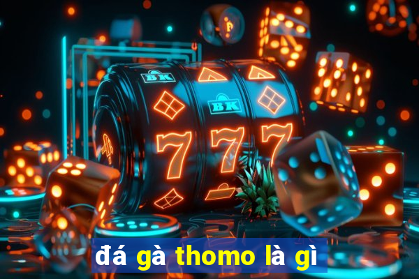 đá gà thomo là gì