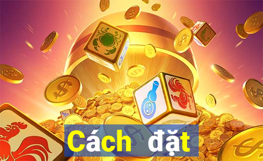 Cách đặt cược XSHN ngày 8