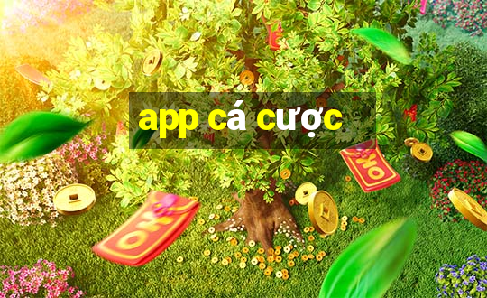 app cá cược