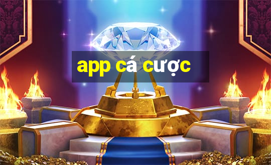 app cá cược