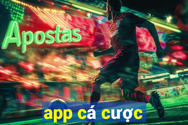 app cá cược