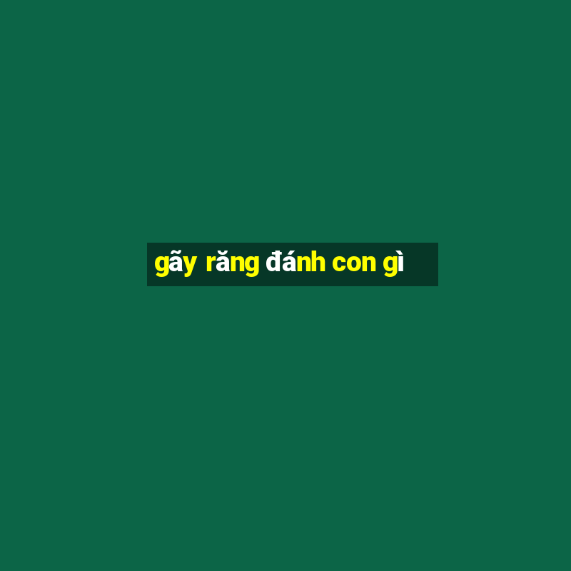 gãy răng đánh con gì