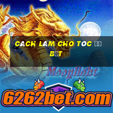 cách làm cho tóc đỡ bết