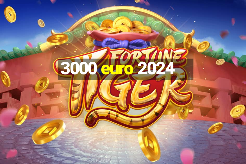 3000 euro 2024