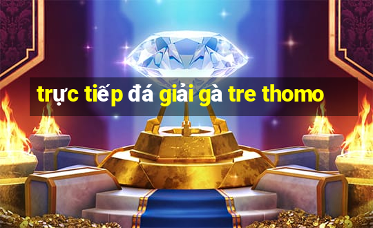 trực tiếp đá giải gà tre thomo