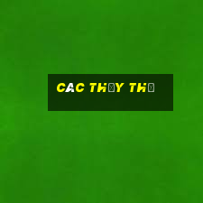 các thủy thủ