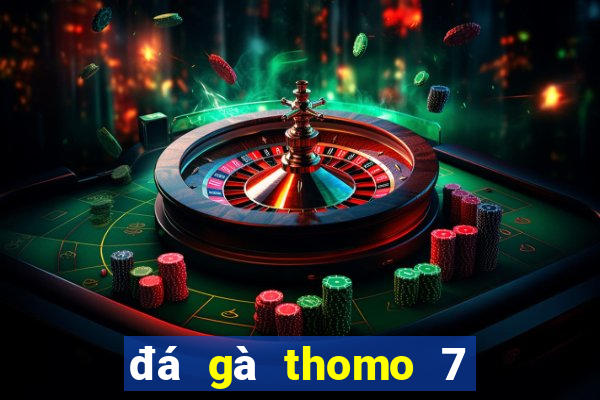 đá gà thomo 7 8 2024