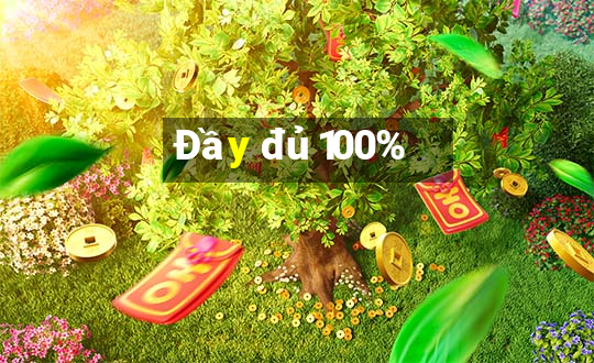 Đầy đủ 100%