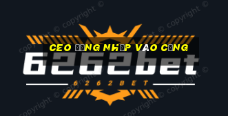 ceo đăng nhập vào cổng